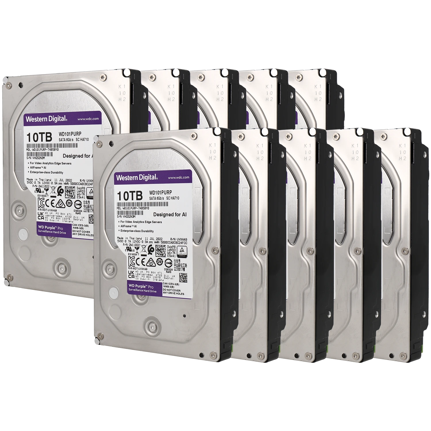 Pack di 10 dischi rigidi purple da 10TB